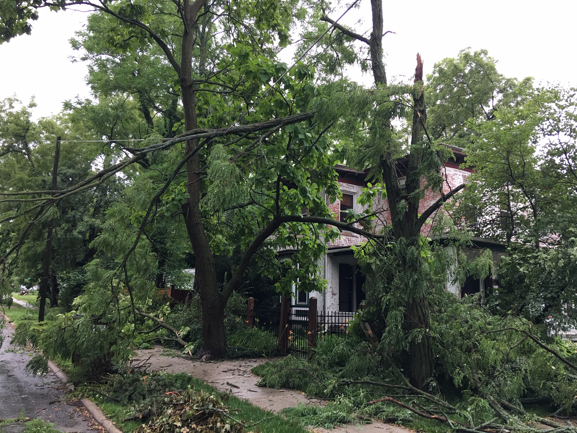 Violent winds down power lines, trees and branches around Lawrence ...